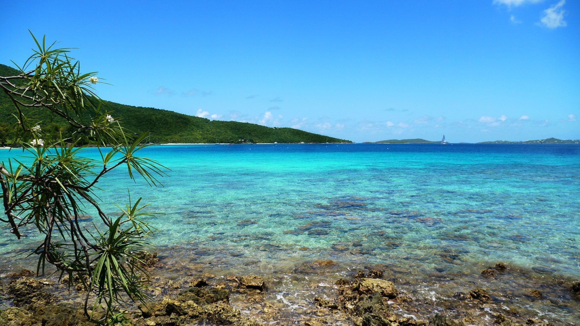 Caneel Bay Resort Cruz Bay Einrichtungen foto