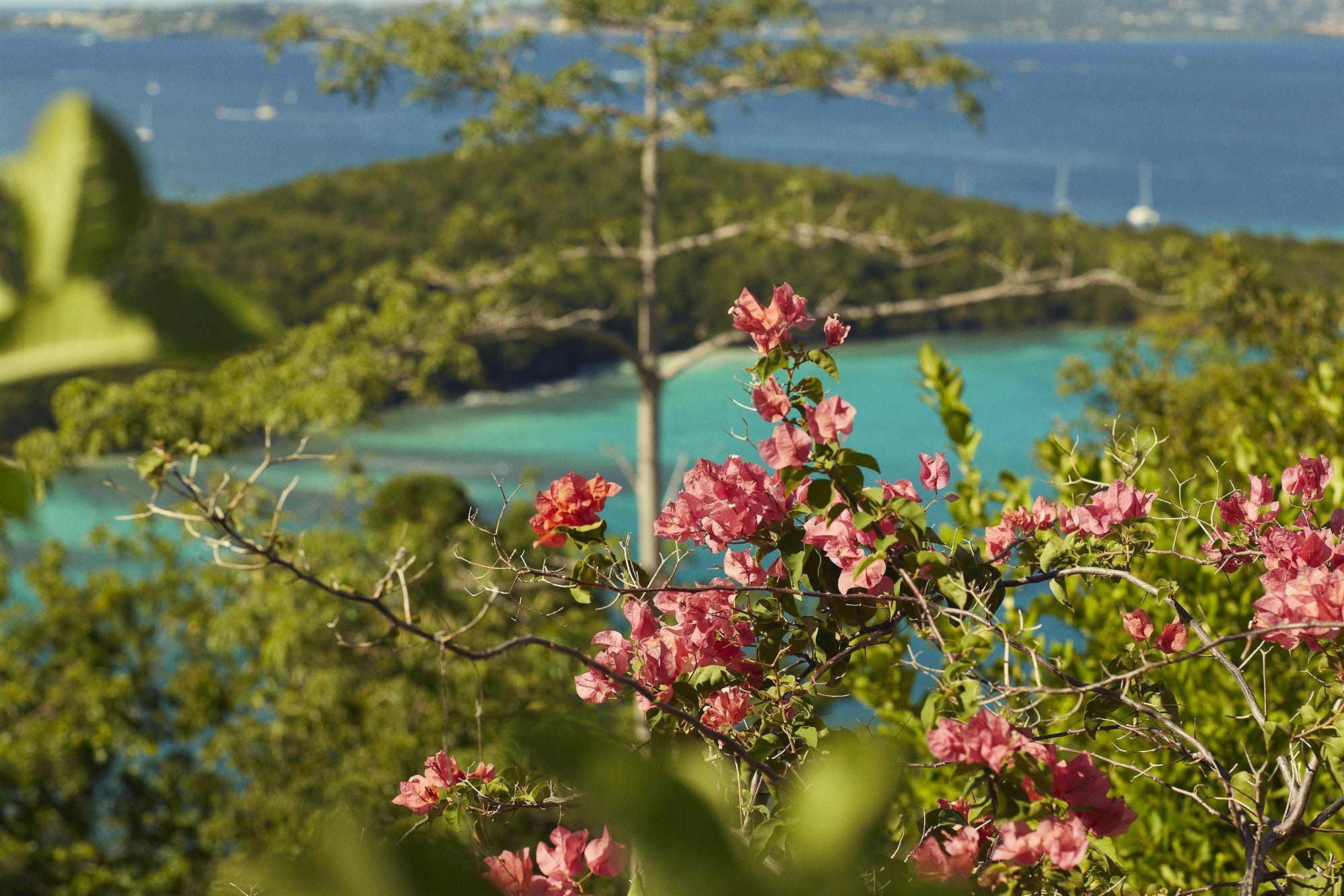 Caneel Bay Resort Cruz Bay Exterior foto