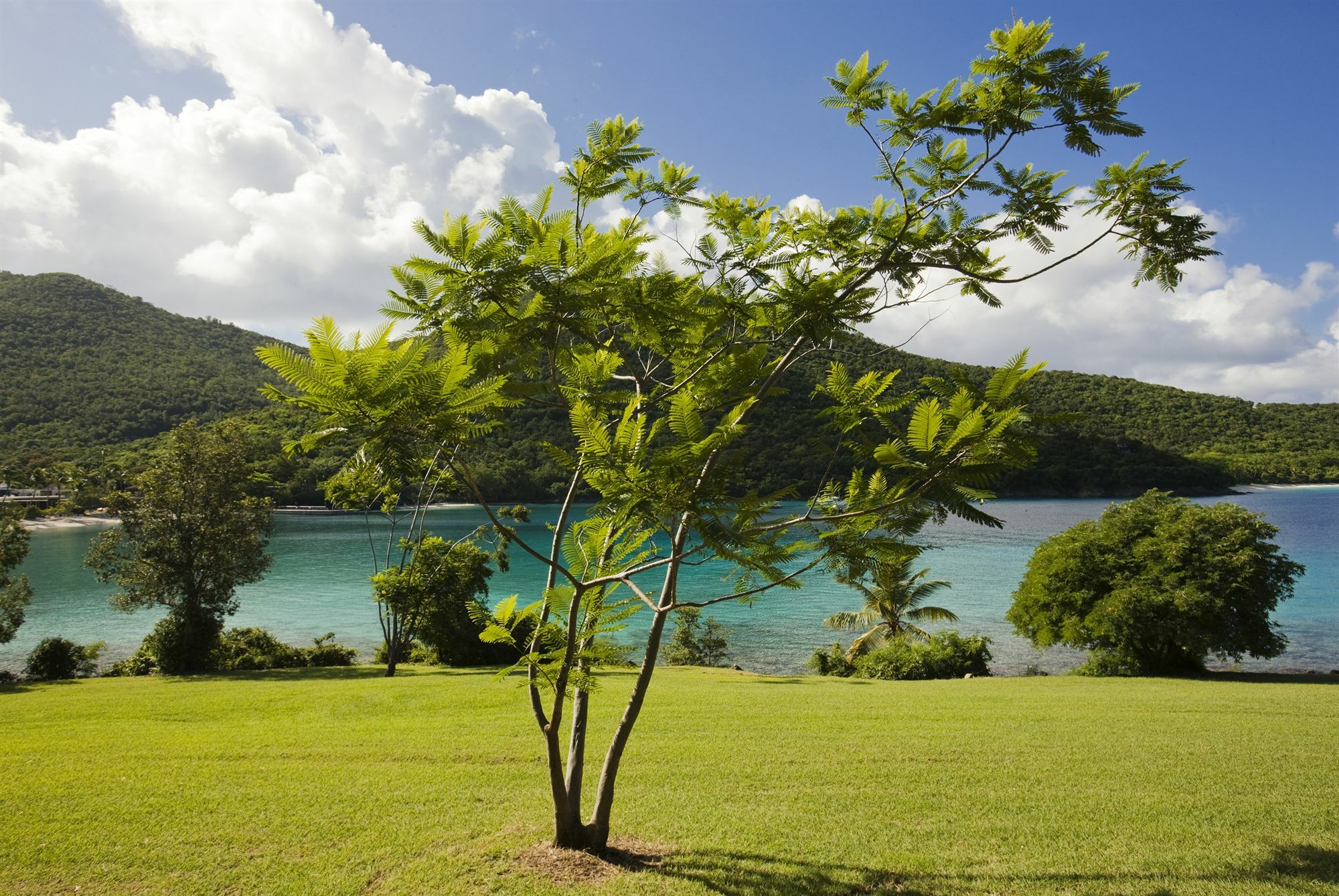 Caneel Bay Resort Cruz Bay Exterior foto
